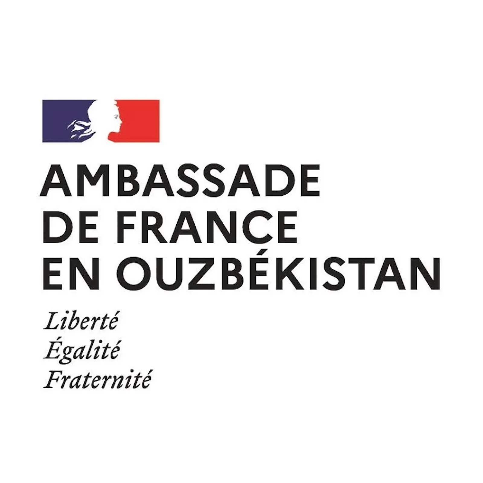 French embassy in Uzbekistan icon